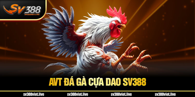 đá gà cựa dao SV388
