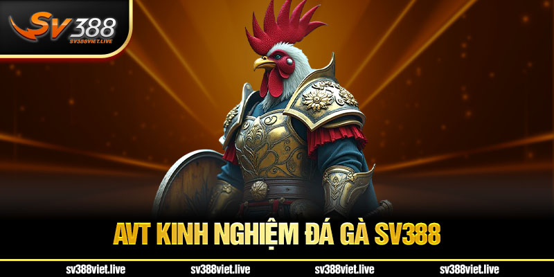 kinh nghiệm đá gà SV388