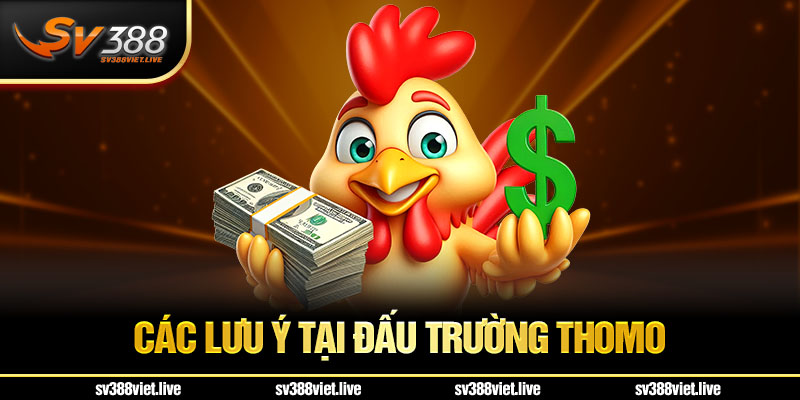 Những lưu ý tại trường gà mà anh em nên biết khi tham gia đá gà thomo