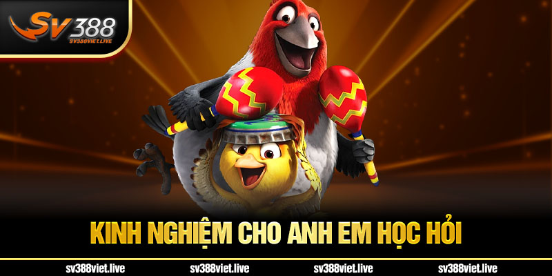 Kinh nghiệm cho anh em học hỏi 