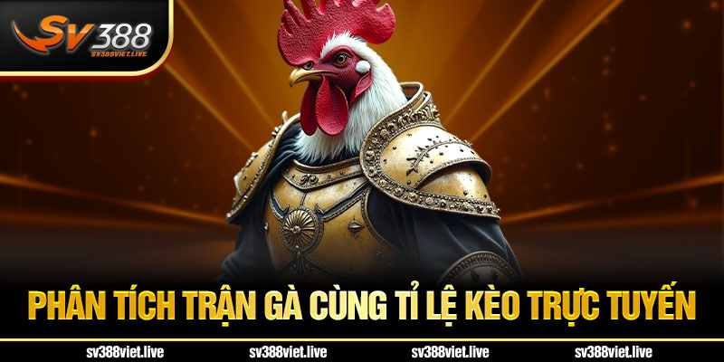 Phân tích trận đá gà cùng bảng tỷ lệ kèo trực tuyến SV388