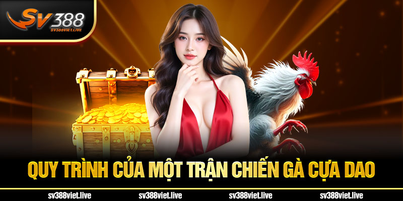 Các quy trình của một trận đá gà cựa dao