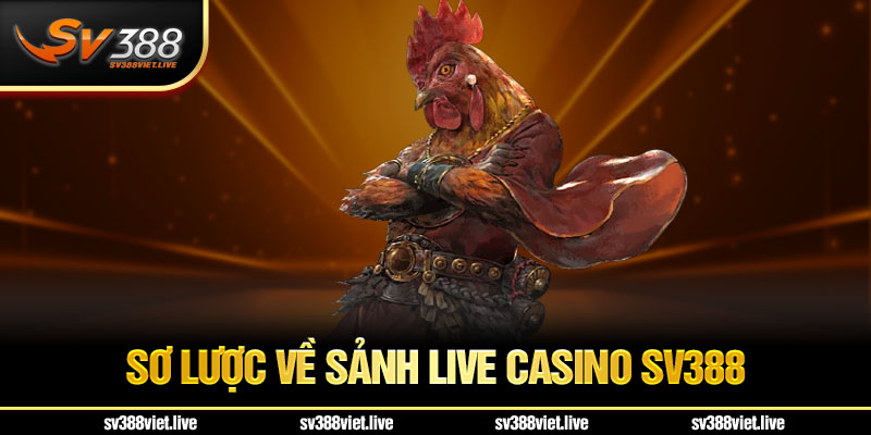 Sơ lược về Live Casino SV388