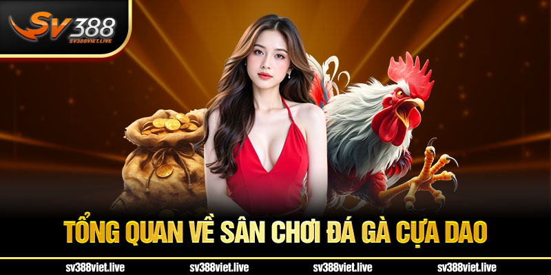 Tổng quan gà chiến cựa dao SV388